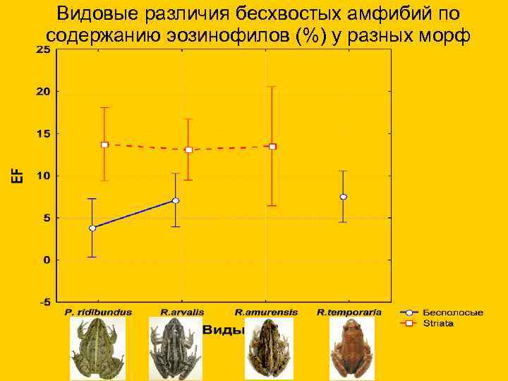  Видовые различия бесхвостых амфибий по содержанию эозинофилов (%) у разных морф 