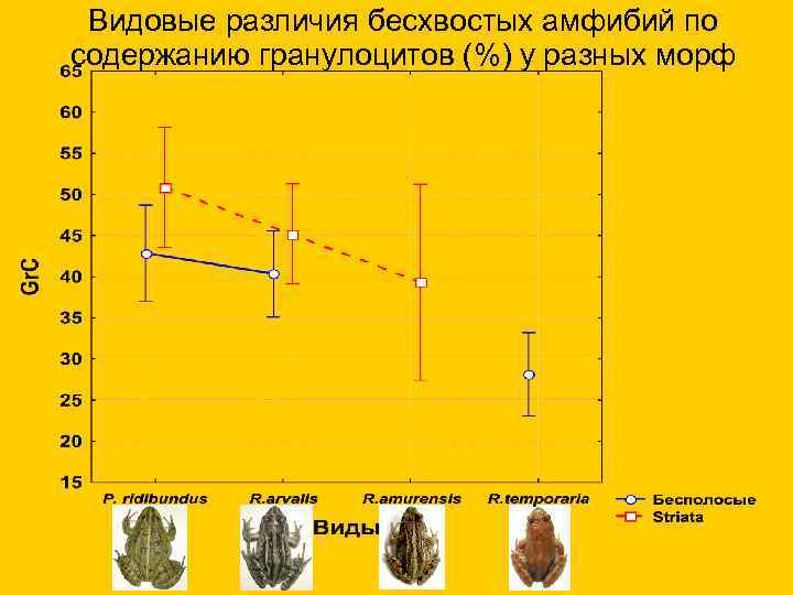  Видовые различия бесхвостых амфибий по содержанию гранулоцитов (%) у разных морф 