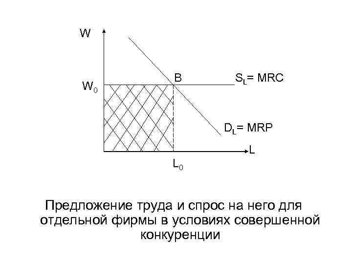  W B SL= MRC W 0 DL= MRP L 0 Предложение труда и