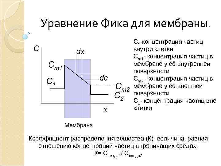  Уравнение Фика для мембраны. С 1 -концентрация частиц внутри клетки Сm 1 -