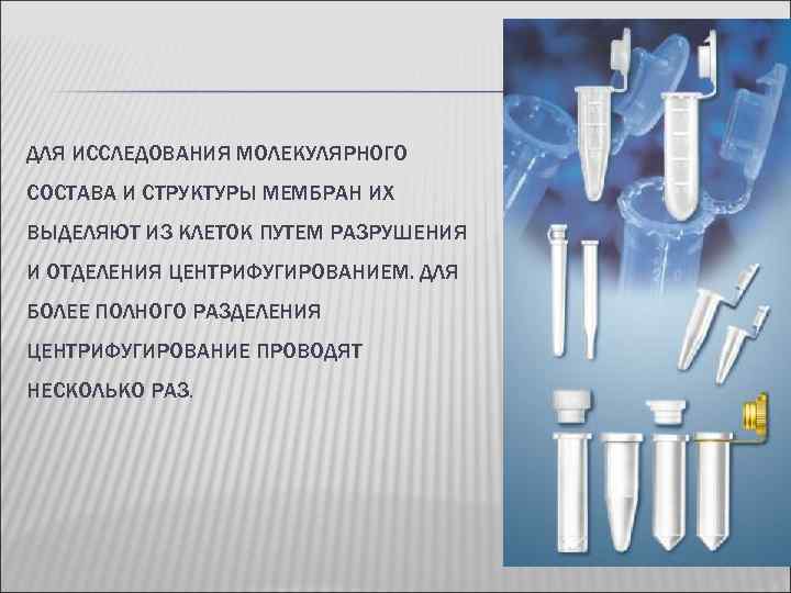 ДЛЯ ИССЛЕДОВАНИЯ МОЛЕКУЛЯРНОГО СОСТАВА И СТРУКТУРЫ МЕМБРАН ИХ ВЫДЕЛЯЮТ ИЗ КЛЕТОК ПУТЕМ РАЗРУШЕНИЯ И