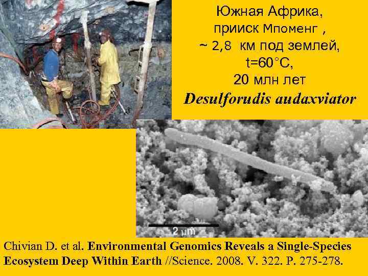  Южная Африка, прииск Мпоменг , ~ 2, 8 км под землей, t=60°C, 20