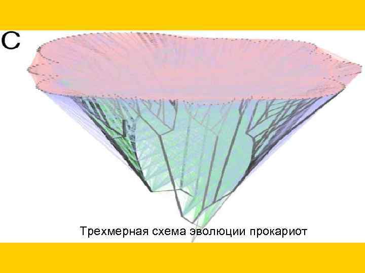 перенос 5 или более генов (3764 случая) перенос 20 или более генов (823 случаев)