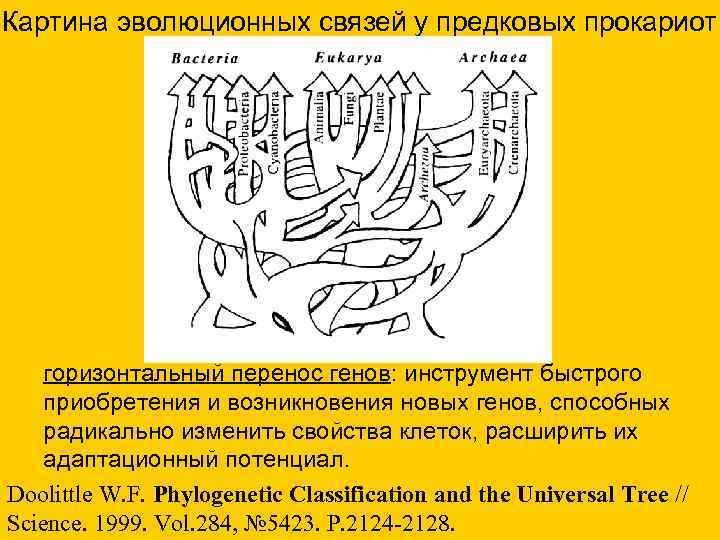 Картина эволюционных связей у предковых прокариот горизонтальный перенос генов: инструмент быстрого приобретения и возникновения