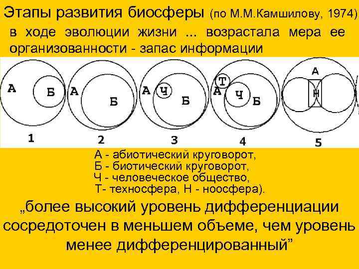 Этапы развития биосферы (по М. М. Камшилову, 1974) в ходе эволюции жизни. . .