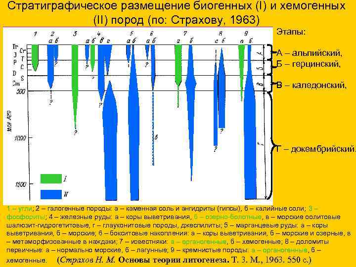 Стратиграфическое размещение биогенных (I) и хемогенных (II) пород (по: Страхову, 1963) Этапы: А –