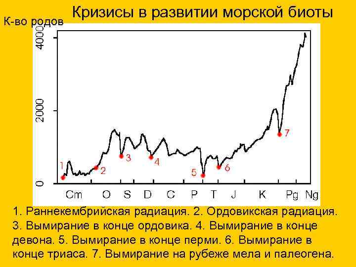  Кризисы в развитии морской биоты К-во родов 1. Раннекембрийская радиация. 2. Ордовикская радиация.