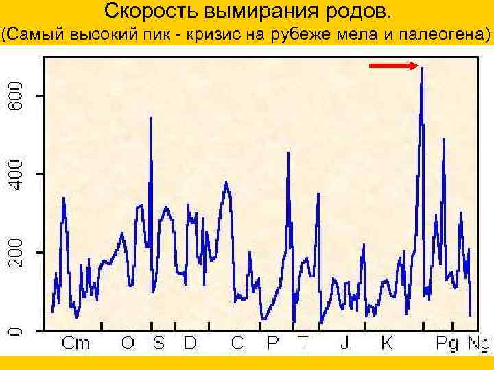  Скорость вымирания родов. (Самый высокий пик - кризис на рубеже мела и палеогена)