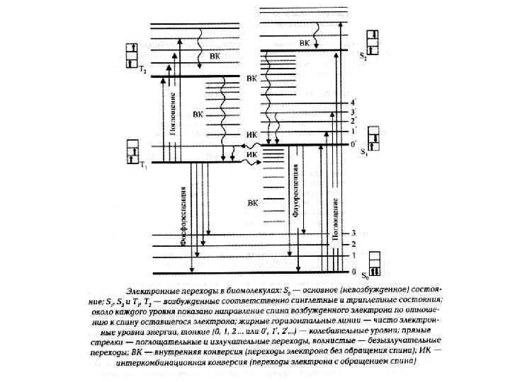  По виду возбуждения различают следующие типы люминесценции:  •  Фотолюминесценция  •