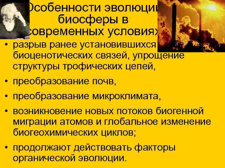  Особенности эволюции биосферы в современных условиях • разрыв ранее установившихся биоценотических связей, упрощение