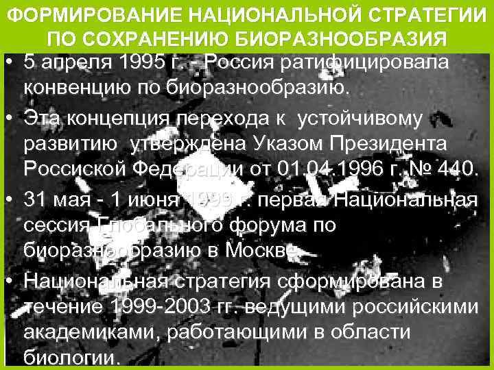 ФОРМИРОВАНИЕ НАЦИОНАЛЬНОЙ СТРАТЕГИИ ПО СОХРАНЕНИЮ БИОРАЗНООБРАЗИЯ • 5 апреля 1995 г. - Россия ратифицировала