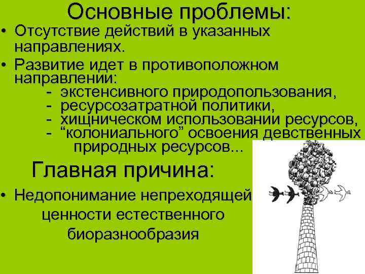  Основные проблемы: • Отсутствие действий в указанных направлениях. • Развитие идет в противоположном