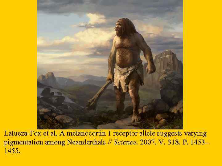 Lalueza-Fox et al. A melanocortin 1 receptor allele suggests varying pigmentation among Neanderthals //