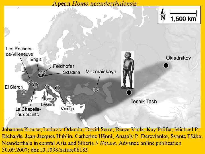  Ареал Homo neanderthalensis Johannes Krause, Ludovic Orlando, David Serre, Bence Viola, Kay Prüfer,