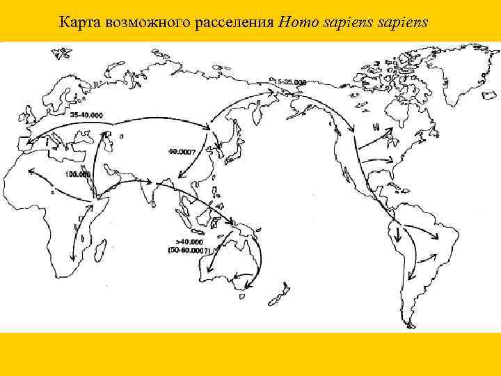 Карта возможного расселения Homo sapiens 