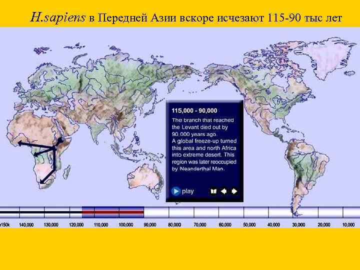 H. sapiens в Передней Азии вскоре исчезают 115 -90 тыс лет 