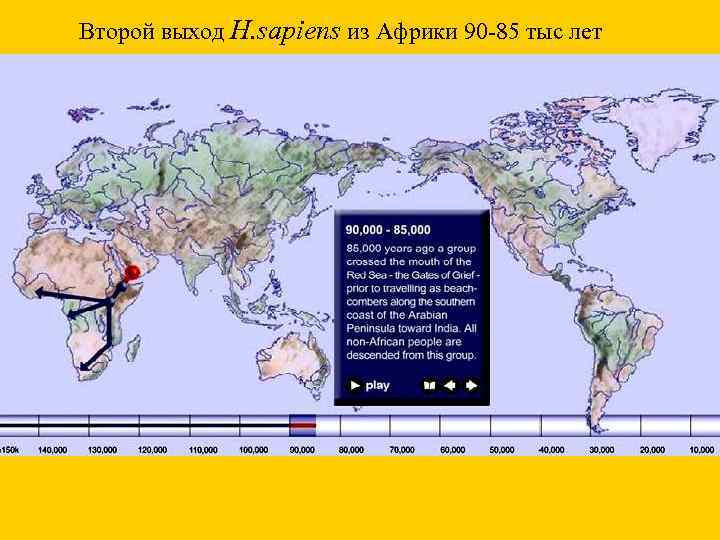 Второй выход H. sapiens из Африки 90 -85 тыс лет 