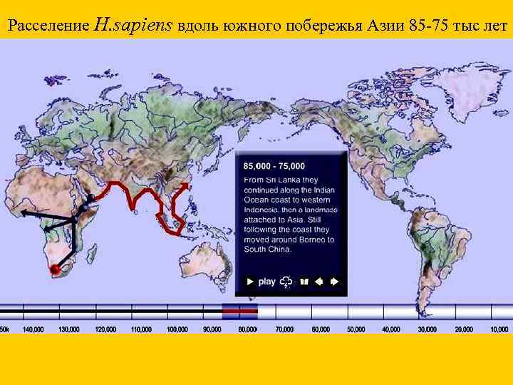 Расселение H. sapiens вдоль южного побережья Азии 85 -75 тыс лет 