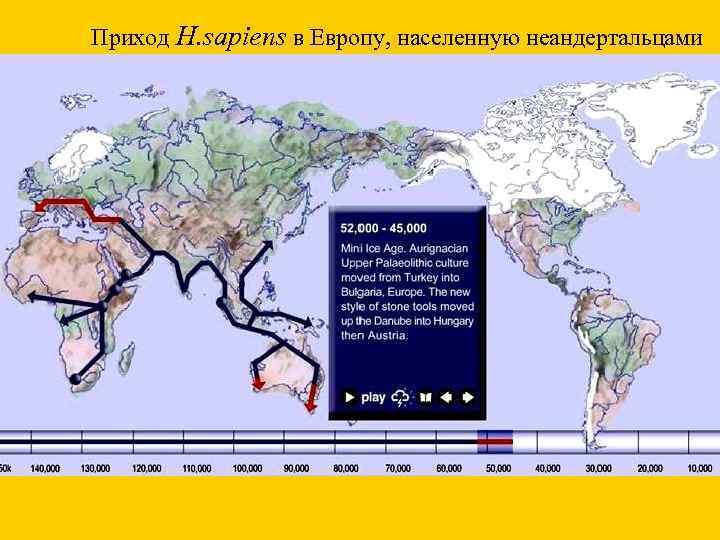 Приход H. sapiens в Европу, населенную неандертальцами 