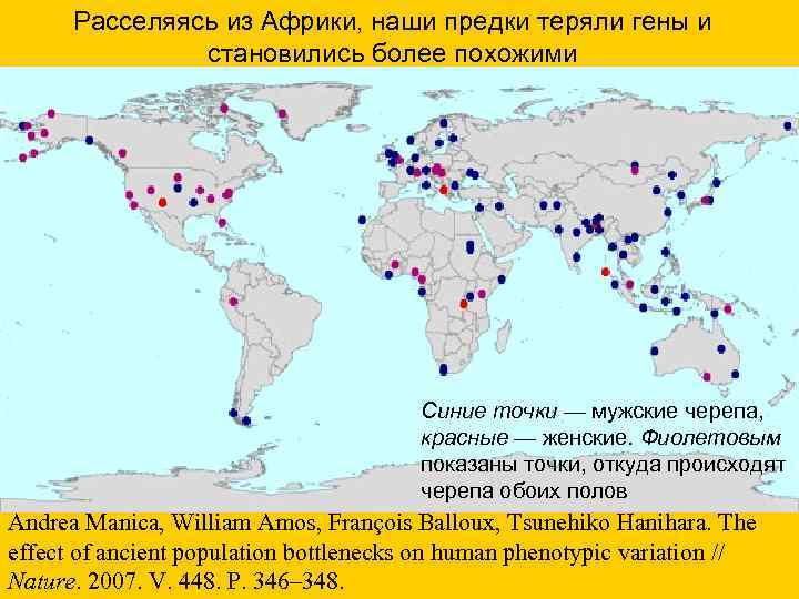  Расселяясь из Африки, наши предки теряли гены и становились более похожими Синие точки