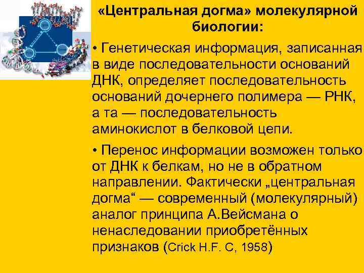 «Центральная догма» молекулярной биологии: • Генетическая информация, записанная в виде последовательности «Центральная догма» молекулярной биологии: • Генетическая информация, записанная в виде последовательности