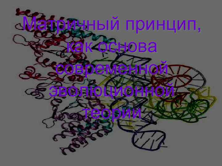 Матричный принцип, как основа современной эволюционной теории Матричный принцип, как основа современной эволюционной теории