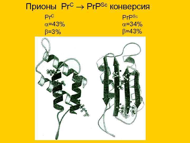 Прионы Pr. C Pr. PSc конверсия Pr. C Pr. PSc Прионы Pr. C Pr. PSc конверсия Pr. C Pr. PSc