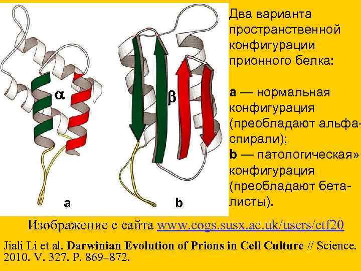 Два варианта пространственной Два варианта пространственной