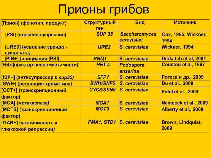 Прионы грибов Прионы грибов