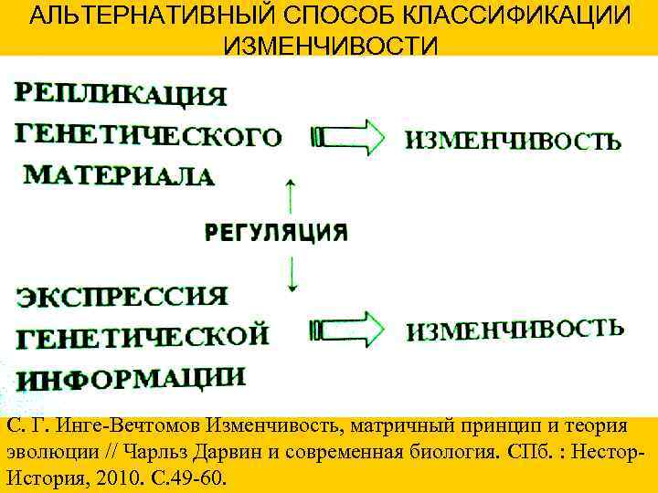 АЛЬТЕРНАТИВНЫЙ СПОСОБ КЛАССИФИКАЦИИ ИЗМЕНЧИВОСТИ С. Г. Инге-Вечтомов Изменчивость, матричный принцип АЛЬТЕРНАТИВНЫЙ СПОСОБ КЛАССИФИКАЦИИ ИЗМЕНЧИВОСТИ С. Г. Инге-Вечтомов Изменчивость, матричный принцип