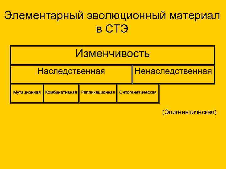 Элементарный эволюционный материал в СТЭ (Эпигенетическая) Элементарный эволюционный материал в СТЭ (Эпигенетическая)