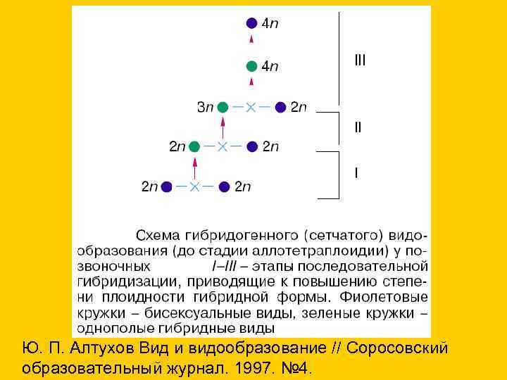 Ю. П. Алтухов Вид и видообразование // Соросовский образовательный журнал. 1997. № 4. 