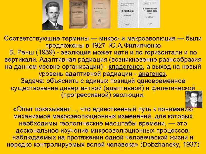 Соответствующие термины — микро- и макроэволюция — были предложены в 1927 Ю. А. Филипченко