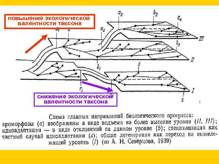 повышение экологической валентности таксона снижение экологической валентности таксона 