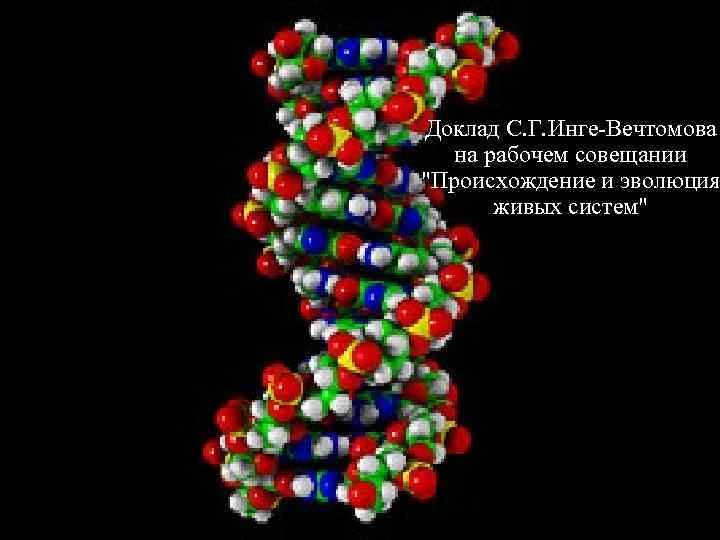 Доклад С. Г. Инге-Вечтомова на рабочем совещании 