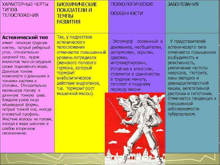 ХАРАКТЕРНЫЕ ЧЕРТЫ БИОХИМИЧЕСКИЕ ПСИХОЛОГИЧЕСКИЕ ЗАБОЛЕВАНИЯ ТИПОВ ПОКАЗАТЕЛИ И ТЕЛОСЛОЖЕНИЯ ОСОБЕННОСТИ ТЕМПЫ РАЗВИТИЯ Астенический тип