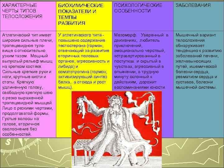 ХАРАКТЕРНЫЕ БИОХИМИЧЕСКИЕ ПСИХОЛОГИЧЕСКИЕ ЗАБОЛЕВАНИЯ ЧЕРТЫ ТИПОВ ПОКАЗАТЕЛИ И ОСОБЕННОСТИ ТЕЛОСЛОЖЕНИЯ ТЕМПЫ РАЗВИТИЯ Атлетический тип