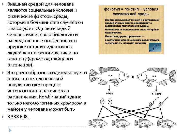   Внешней средой для человека являются социальные условия и физические факторы среды, 