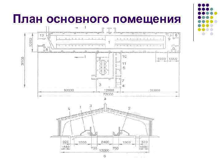 План основного помещения 