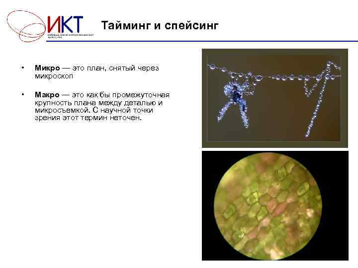  Тайминг и спейсинг • Микро — это план, снятый через микроскоп • Макро