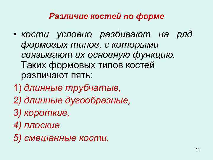  Различие костей по форме • кости условно разбивают на ряд формовых типов, с