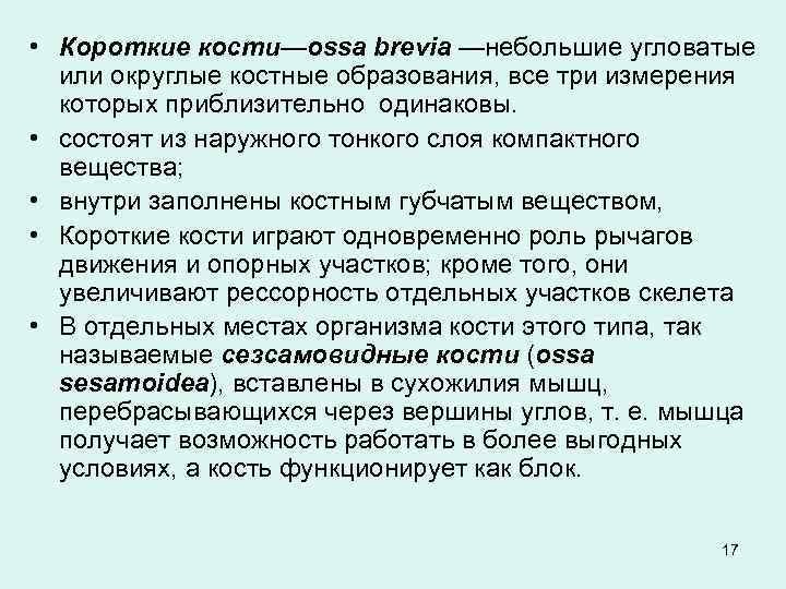  • Короткие кости—ossa brevia —небольшие угловатые или округлые костные образования, все три измерения