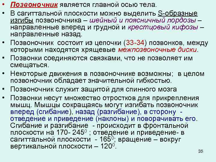  • Позвоночник является главной осью тела. • В сагиттальной плоскости можно выделить S