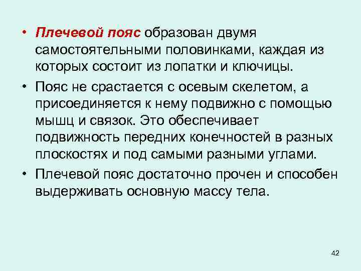  • Плечевой пояс образован двумя самостоятельными половинками, каждая из которых состоит из лопатки