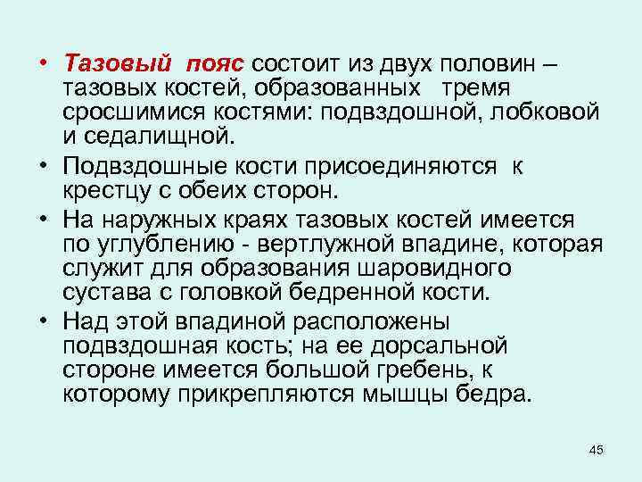  • Тазовый пояс состоит из двух половин – тазовых костей, образованных тремя сросшимися