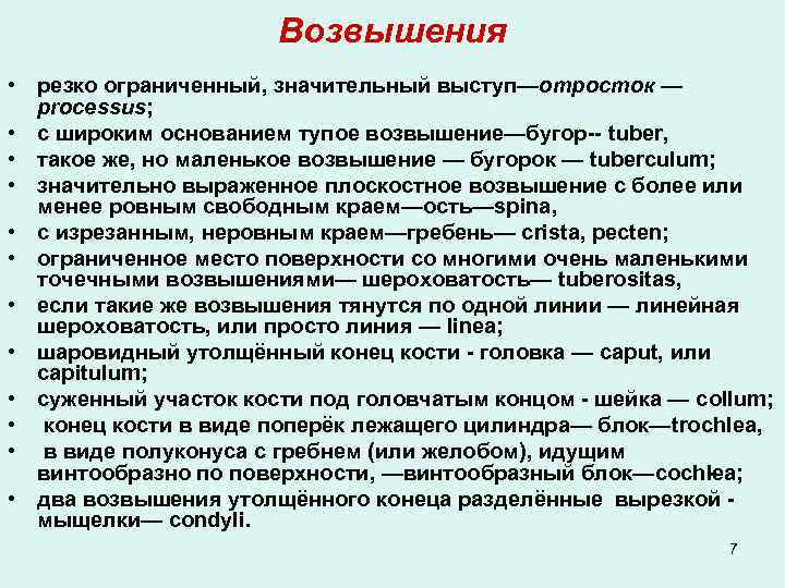  Возвышения • резко ограниченный, значительный выступ—отросток — processus; • с широким основанием тупое