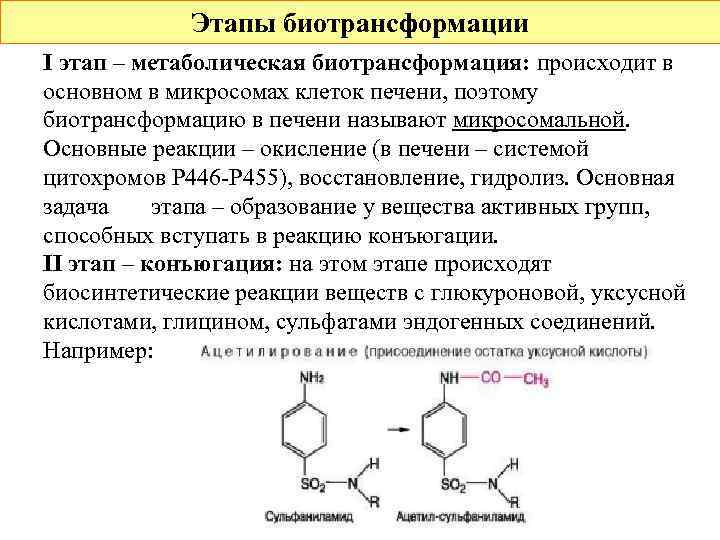    Этапы биотрансформации I этап – метаболическая биотрансформация: происходит в основном в