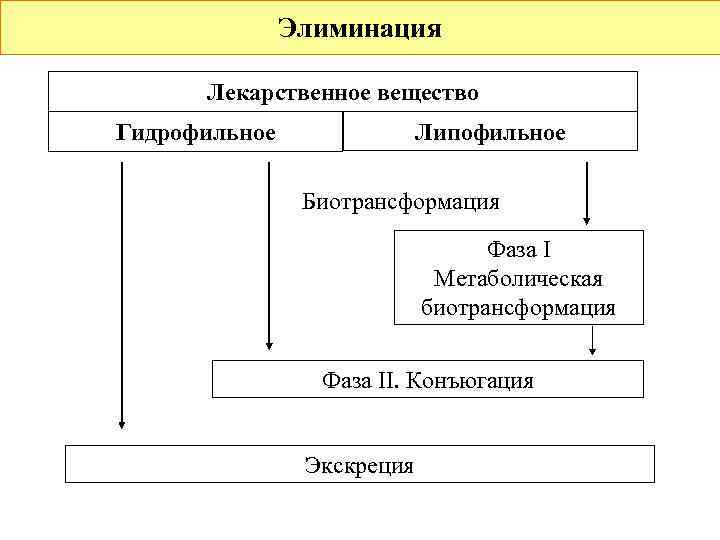     Элиминация  Лекарственное вещество Гидрофильное    Липофильное 