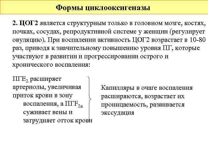    Формы циклооксигеназы 2. ЦОГ 2 является структурным только в головном мозге,