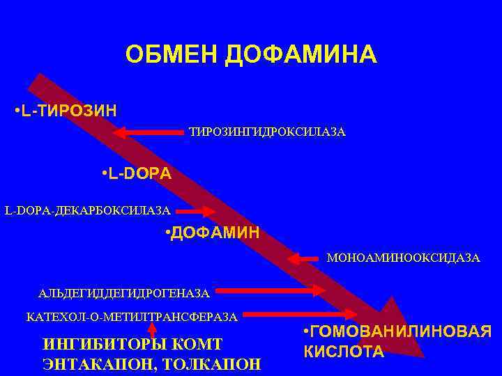     ОБМЕН ДОФАМИНА  • L-ТИРОЗИН     ТИРОЗИНГИДРОКСИЛАЗА